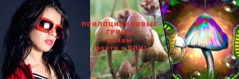 Псилоцибиновые грибы Psilocybe  магазин  наркотиков  Лянтор 